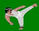 Avatar de karate blanc